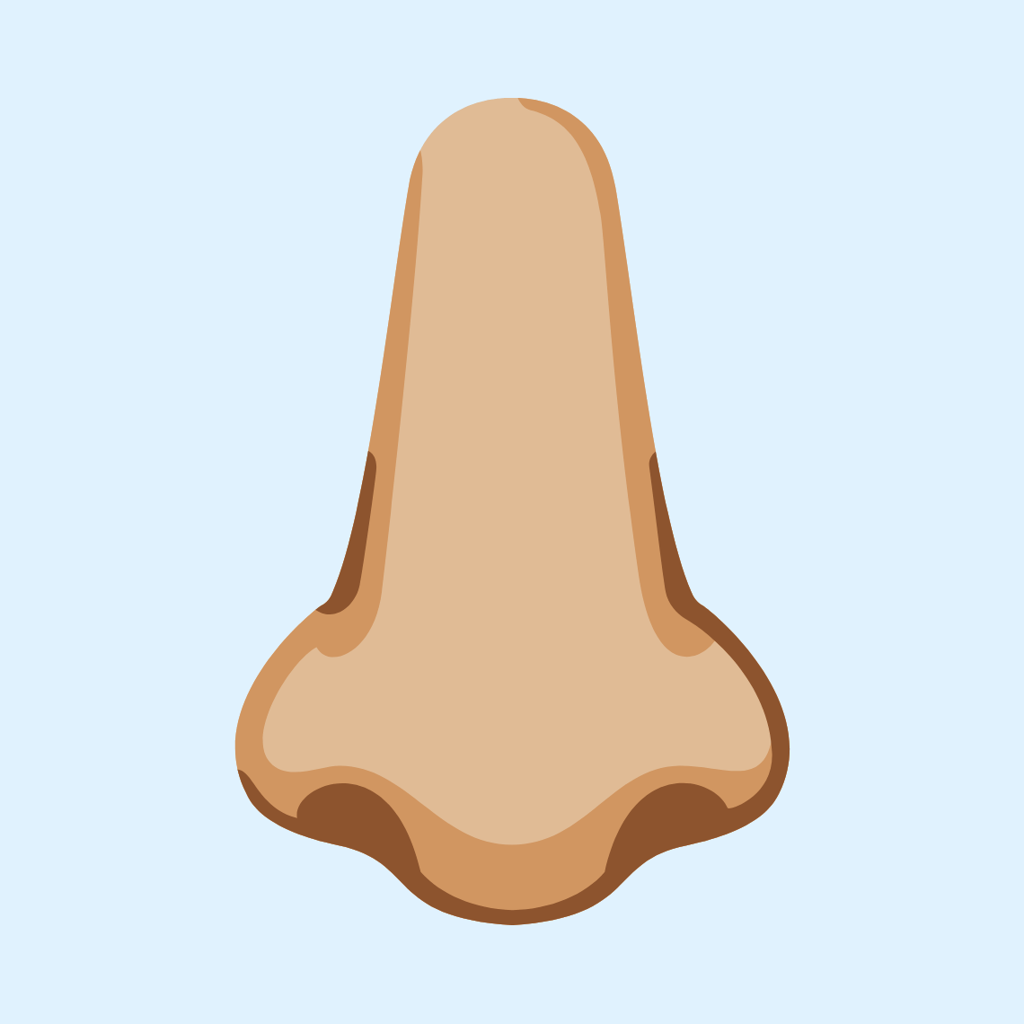ππΌ Nose: medium-light skin tone